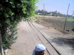 Sugar cane railway on the West bank of the Nile, Luxor, June 2010